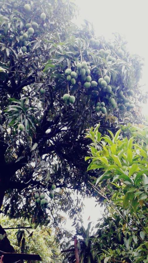 The Place Apartment Escazu Ngoại thất bức ảnh